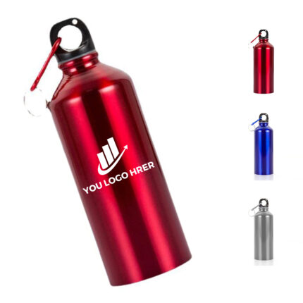 25oz Stainless Steel Bottle