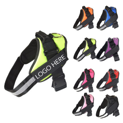 Pet harness and Rope