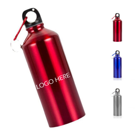 25oz Stainless Steel Bottle